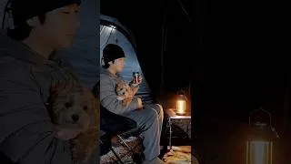 Thumbnail: 장작불 ASMR 강아지 자두의 힐링 캠핑 🐶🔥 #camping #camp #cooking