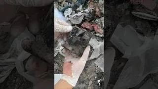 Thumbnail: 🤮Seriously Phone🤧 Galaxy Flip 3 🙈 #samsung #galaxyflip3 #flip3 #jaiphone #shorts #reels