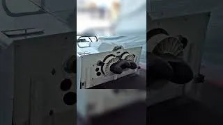 Thumbnail: The Craziest Race Car Ever Built (And How It Worked)