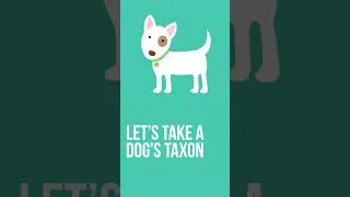 Thumbnail: 7 Scientific Classifications of Living Things | Music Video