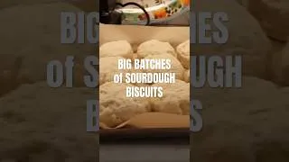 Thumbnail: BIG BATCHES of SOURDOUGH BISCUITS from SCRATCH for my family of 10!