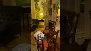 Thumbnail: # #haunted House trip January 2026 #travel