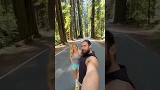 Thumbnail: Have you seen these beautiful trees before?😍🇺🇸 #redwoodforest #avenueofgiants #california #usa