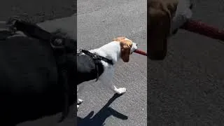 Thumbnail: Quincy is Cleaning Up the Neighborhood