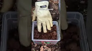 Thumbnail: Compost!