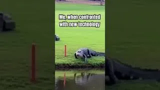 Thumbnail: Me when confronted with new technology #robotmower #alligator #funny #golfcourse #pond #comedy