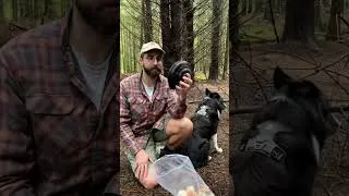 Thumbnail: Horse's Hoof Fungus in depth video coming soon!