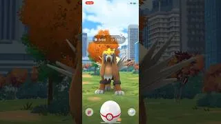 Thumbnail: Catching a Shiny Entei on Pokémon GO #Shorts #Shortsvideo #Shortvideo #Youtubeshorts #PokemonGO