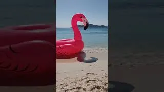 Thumbnail: SUMMER TIME #swimming #beach