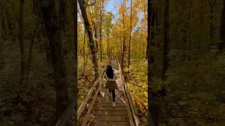 Thumbnail: My favorite season will always be fall 🍂 Throwback to last year in #Michigan