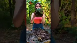 Thumbnail: TRAVEL HACKS