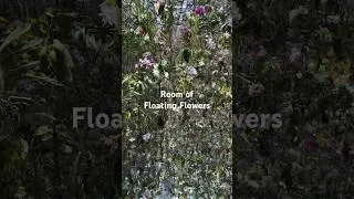 Thumbnail: Entering Floating Flowers room in Tokyo teamLab Plantes #teamlabplanets #teamlabplanetstokyo
