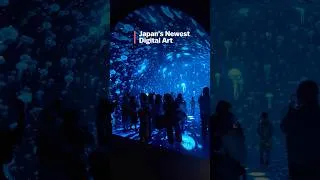 Thumbnail: Have you heard of Japan's two newest digital art sites?