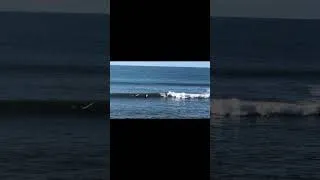 Thumbnail: Steamer Lane, Santa Cruz - Good Set on a Small Day 🤙