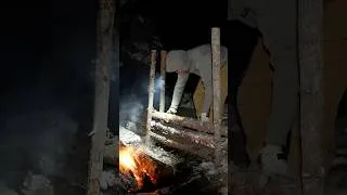 Thumbnail: Freezing Winter Camping Solo - Survival Shelter & Wool Blanket #camping #bushcraft #survival