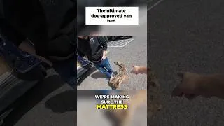 Thumbnail: Must Have Approval from my Dog on the Mattress