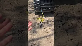 Thumbnail: TAKE A MINUTE And Save The Next Person From Real Problems