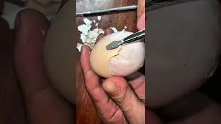 Thumbnail: Breathtaking challenge! (生卵の殻剥き) #asmr #egg