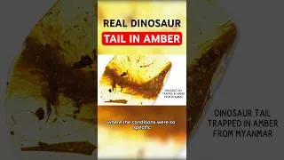Thumbnail: Weirdest Dinosaur Discoveries