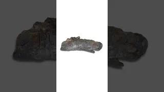 Thumbnail: Mummified dinosaurs are insane