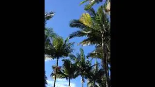 Thumbnail: My driveway blues
