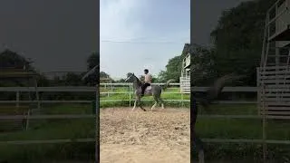 Thumbnail: Dilbaksh❤️ #jaysakariya #rjjay #horseriding #horses #horselove #marwarihorse #horsemanship #riding