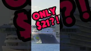 Thumbnail: They ONLY Got $21… Cruise Passenger FURIOUS!
