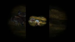 Thumbnail: Realistic Albino Whitetail Deer Hunt (Part 4 of 5) | the Hunter Call of the Wild