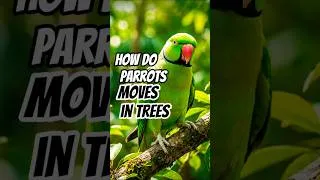 Thumbnail: how do parrots move in trees.#parrot