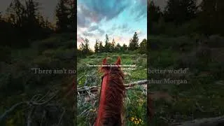 Thumbnail: Rdr2 irl.