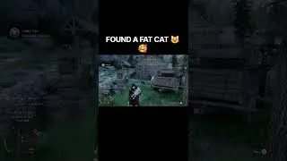Thumbnail: Look what I found 😺🥰 #fyp #shorts #cute #crimsondesertgameplay