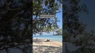 Thumbnail: No filter. No edits. Just pure BEAUTY. 😍✨ Manukan Island #shorts #youtubeshorts #sabah #island