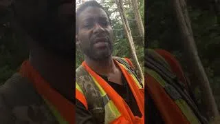 Thumbnail: Observation of small brown birds following me?