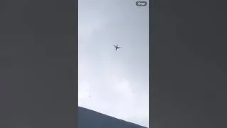 Thumbnail: Observation of a hummingbird during a lightning and thunderstorm