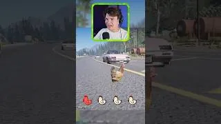 Thumbnail: why did these chickens cross the road #gta #gtarp
