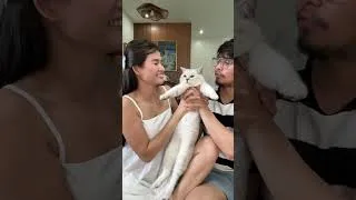 Thumbnail: our furbabies  @renzdavid