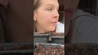 Thumbnail: I'm a Lukewarm Homesteader