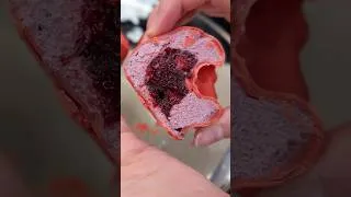 Thumbnail: Raspberry Shaped Dessert Recipe