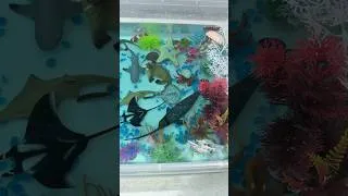 Thumbnail: I created an Ocean at home   #shorts #shortvideo #short