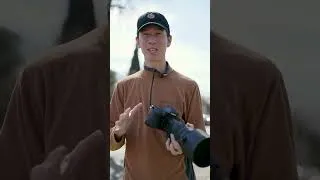 Thumbnail: Sigma 500mm f/5.6 Quick Review