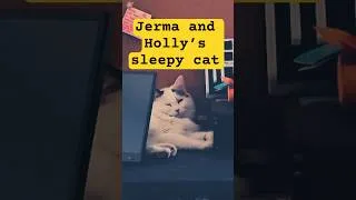 Thumbnail: #jerma #cat sleepy Sundae 🍨 magical creature that smells like fresh laundry & baked bread 🍞🧺✨️