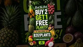 Thumbnail: 🌴 BUY 2, GET 1 FREE! 🌿 Tropical Plant Sale is LIVE!