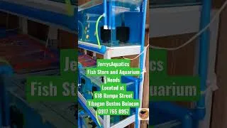 Thumbnail: Fish Store and Aquarium Needs by:JerrysAquatics #aquariumneeds #aquarium #fish  #accessories #decor