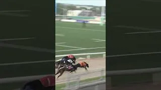 Thumbnail: WHO WON 😱 Photo Finish! 🏁 #shorts