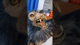 Thumbnail: BABY WOLF BITES! #shorts