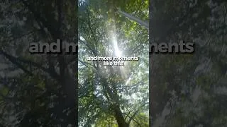 Thumbnail: Your mind needs more of this #mindfulness #shorts