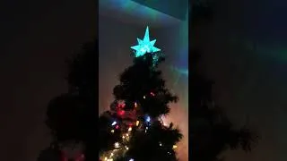 Thumbnail: My 2 Christmas trees 🎄 #shorts