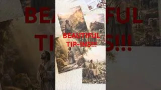 Thumbnail: BEAUTIFUL TIP-IN!!!