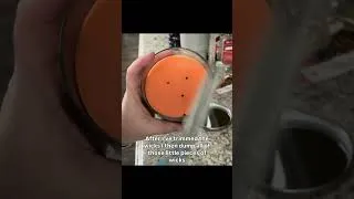 Thumbnail: How to extend the life of your candle… #frugalliving #howto #candle #sahm