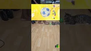 Thumbnail: SHOCKING TALENT: CAT SCORED ON HUMAN!